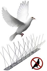 PINCHO ANTI PALOMAS ELEKTRO3 1m. FLEX.