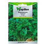 SEMILLAS PAPILLON PEREJIL COMUN