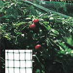 RED ANTIPAJAROS VERDE 04X12 m. PAPILLON